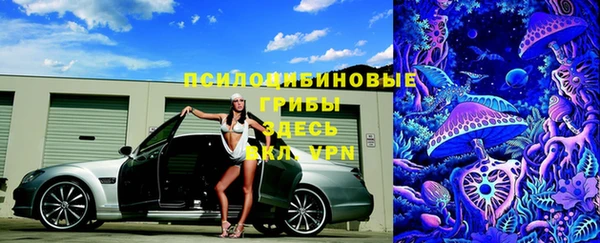 молекула духа Рославль
